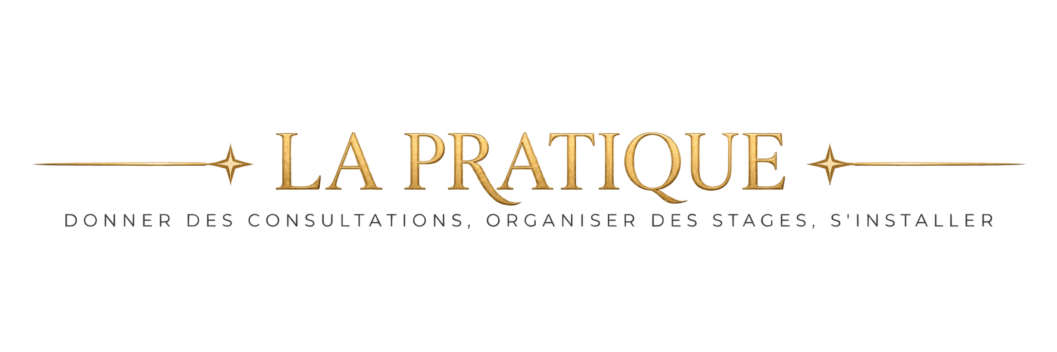 La pratique